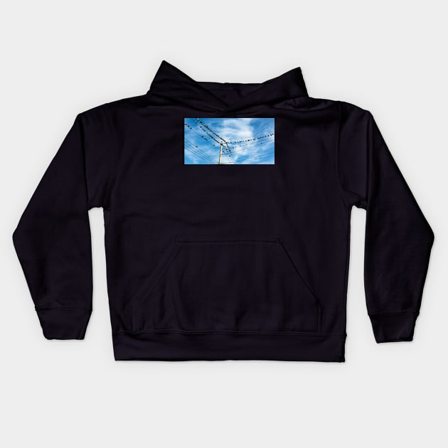 Pigeons on a wire Kids Hoodie by ShootFirstNYC